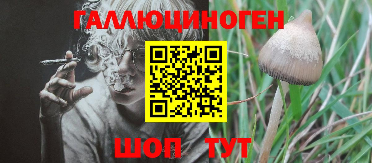 Галлюциногенные грибы мухоморы  Псилоцибиновые грибы мицелий  наркота  Алатырь  Вход с VPN 